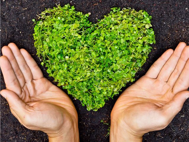 Mani che sorreggono un cuore di germogli verdi, simbolo di prodotti sostenibili e biodegradabili